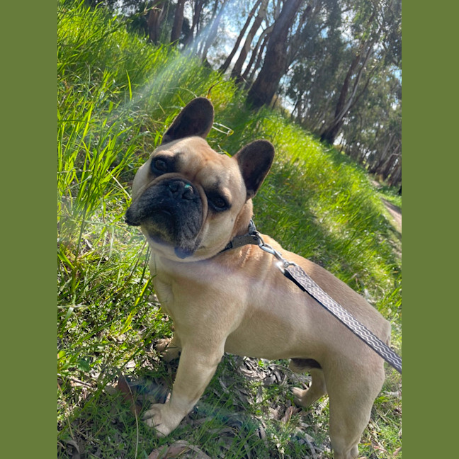 Photo of Gus