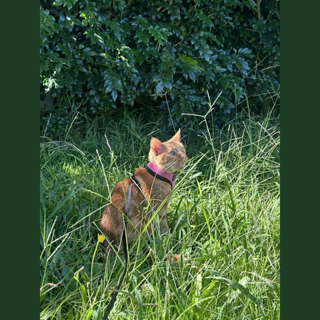 Photo of Dutchess