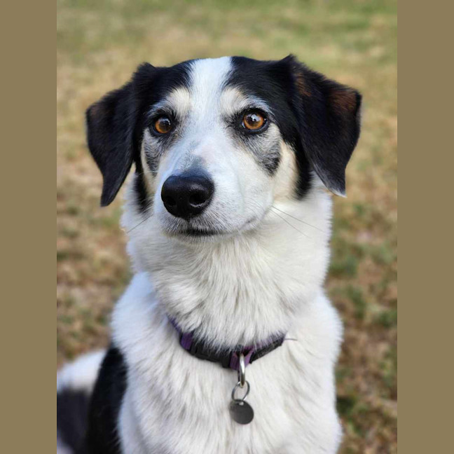 Photo of 🦋 Coco 6047 🦋