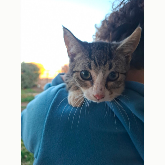 Photo of Missy