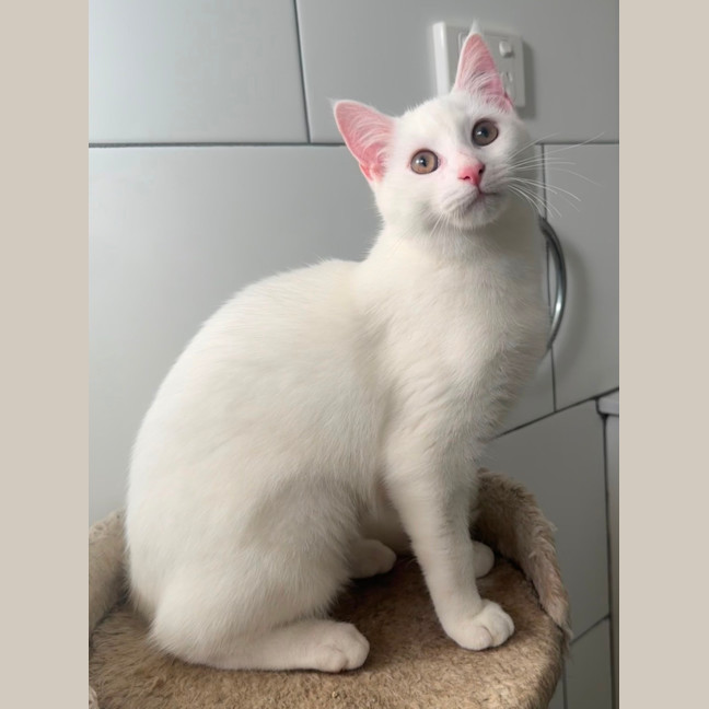 Photo of Elsa