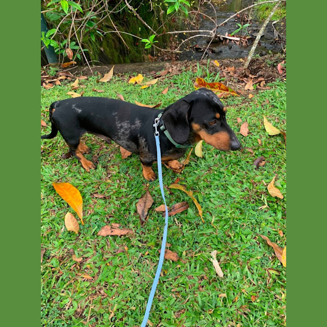 Photo of Hugo