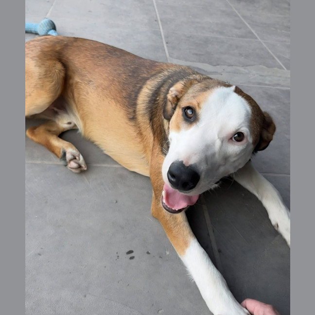 Photo of Turbo