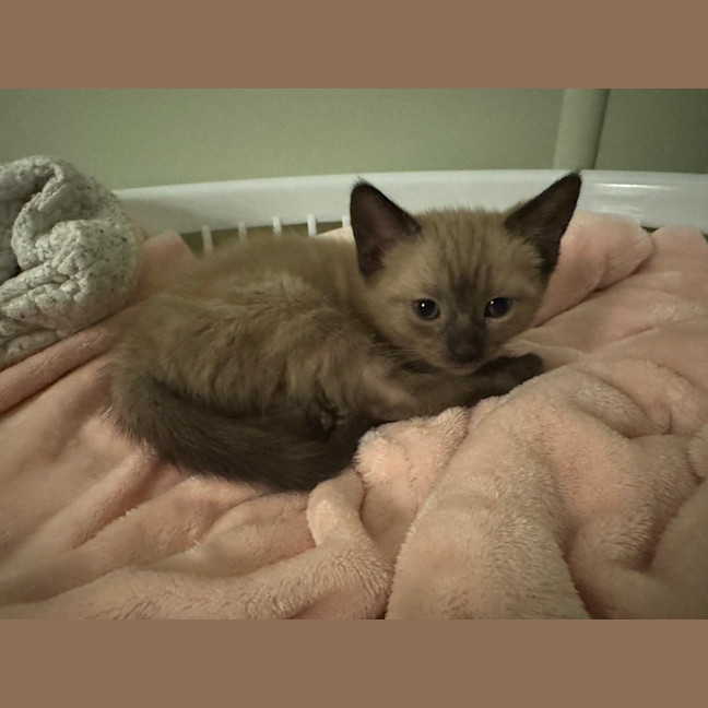 Photo of Mia