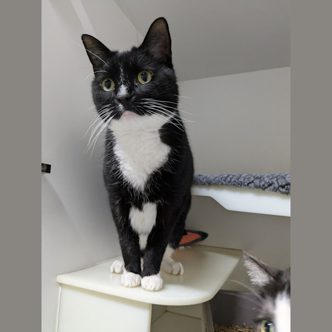 Photo of 🦜 Monte 5438 🦜