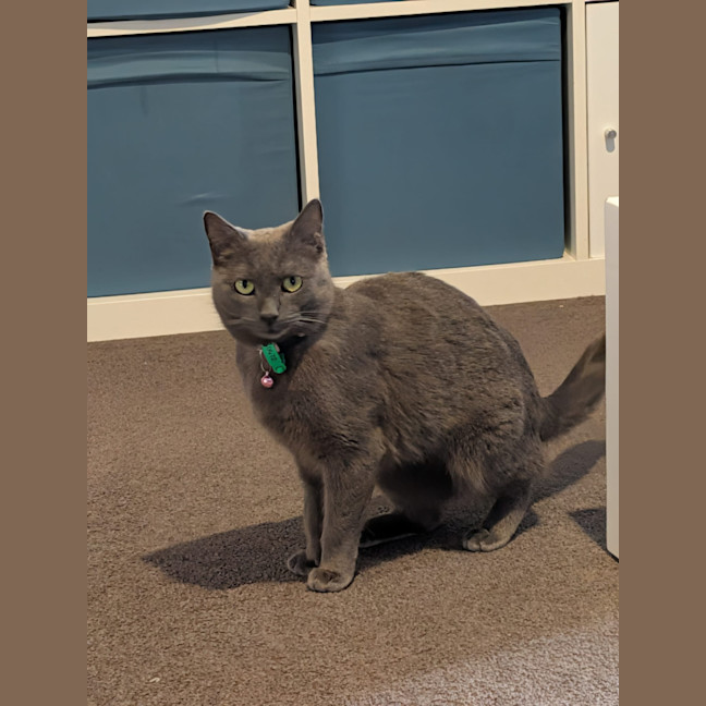 Photo of Luna