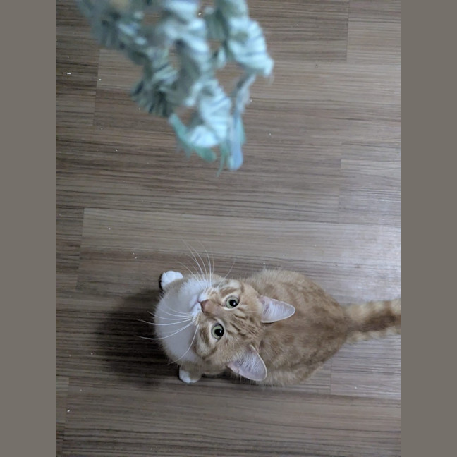 Photo of Simon
