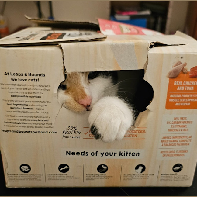 Photo of Mitzi