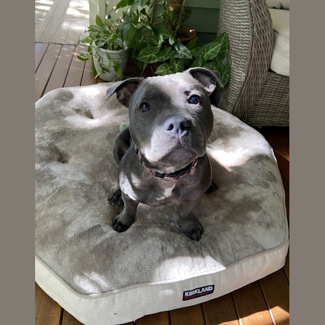 Photo of Bonnie