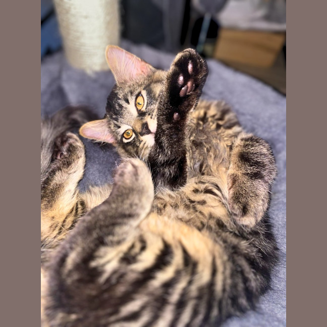 Photo of Gilly