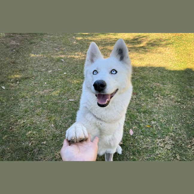 Photo of Heidi
