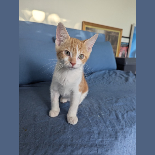 Photo of Stanley Golden