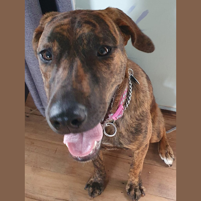 Photo of Sweetie