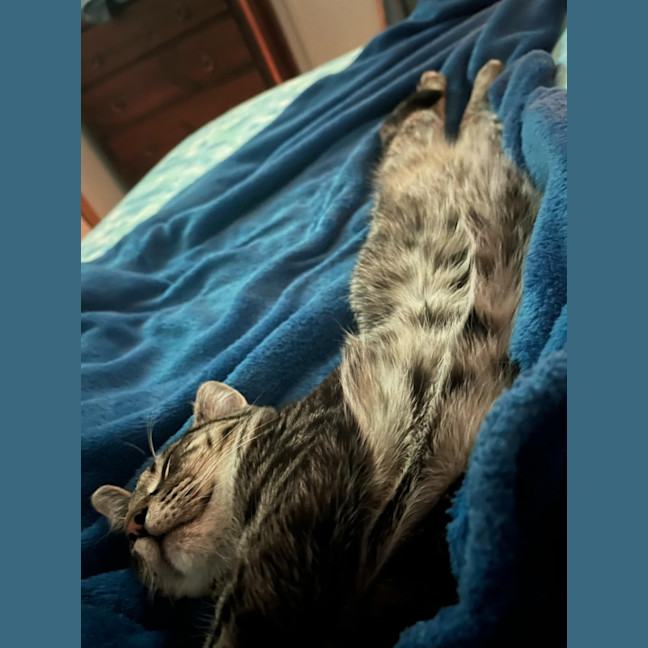 Photo of Mack