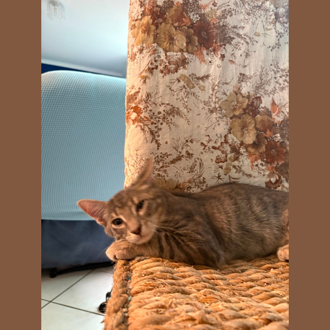 Photo of Sterling