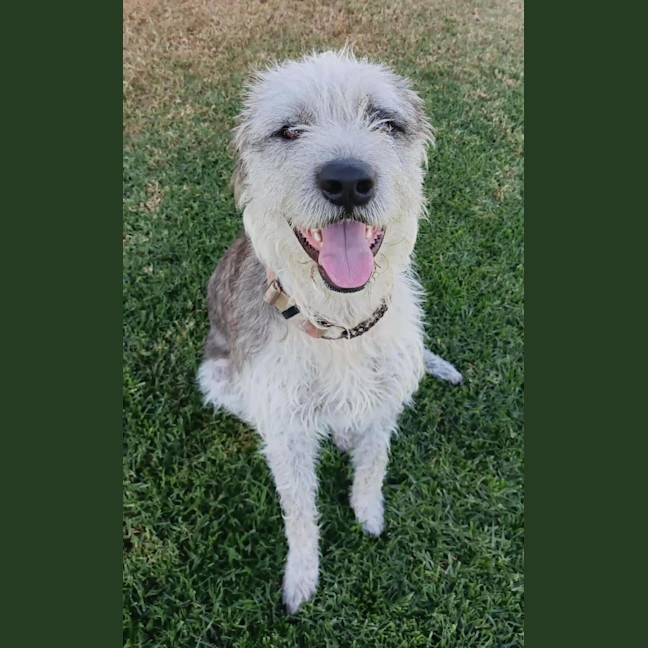 Photo of Winston 