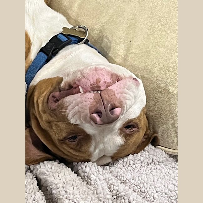 Photo of Zipper