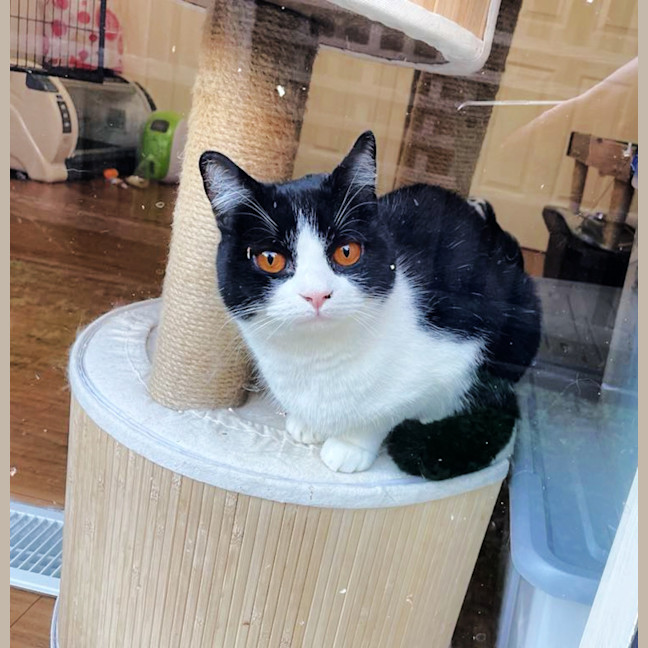 Photo of 🍀Blanaid🍀