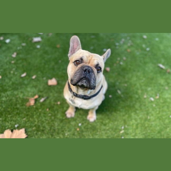 Photo of Bruce