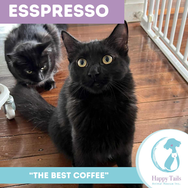 Photo of Espresso