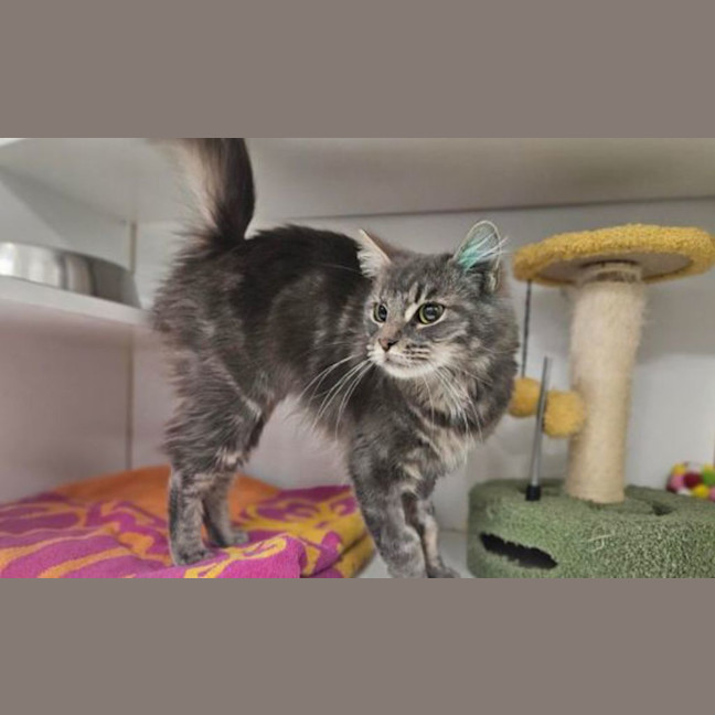 Photo of Freya