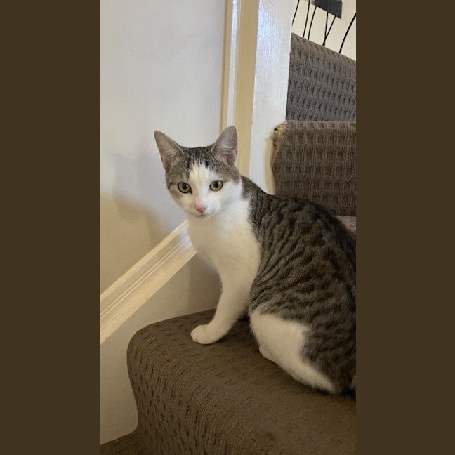Photo of Keeva