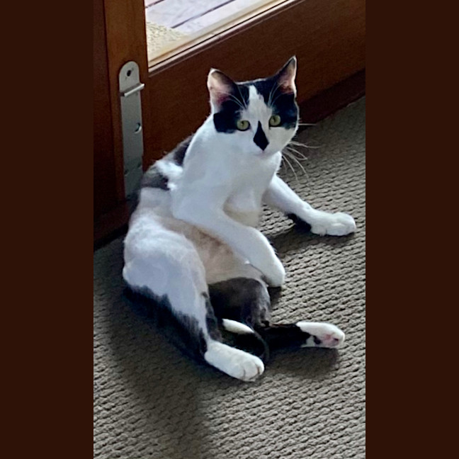 Photo of Mooey
