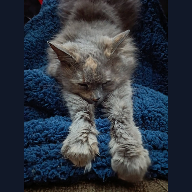 Photo of Matilda 