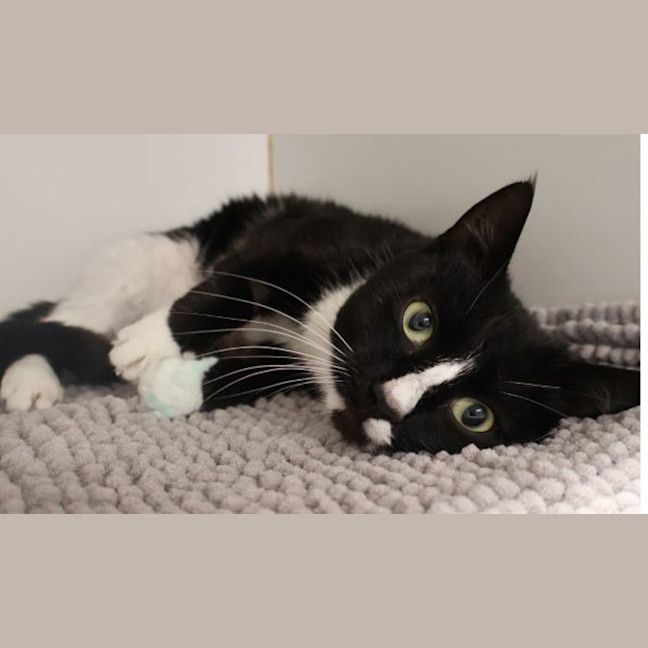 Photo of Marceline