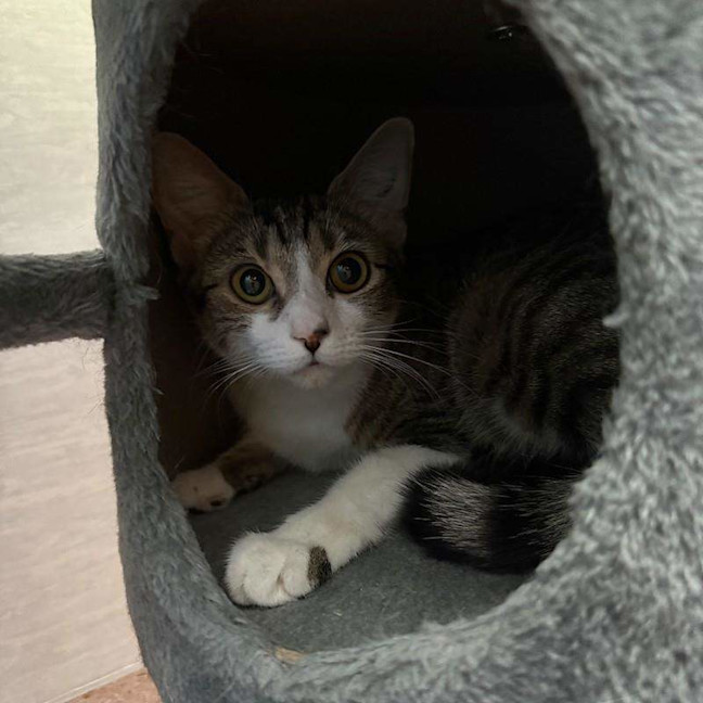 Photo of Delilah