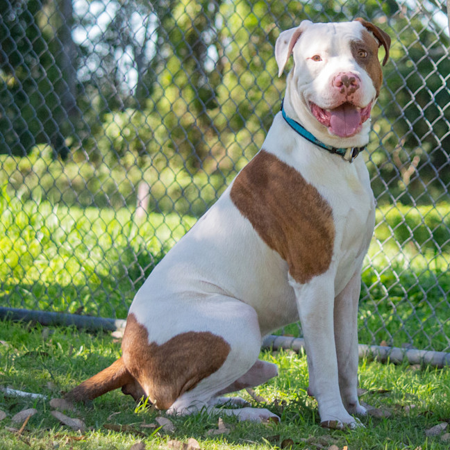Photo of Max
