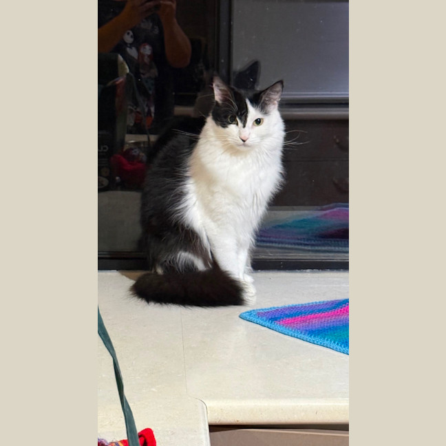 Photo of Gwynn