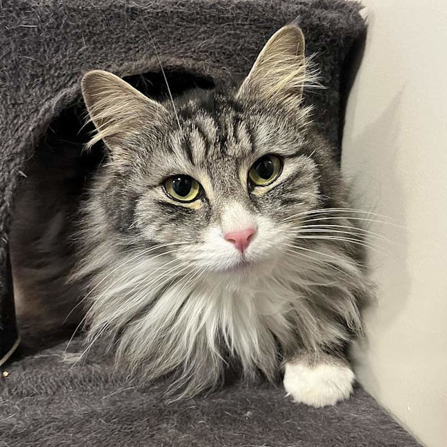 Photo of Hamish