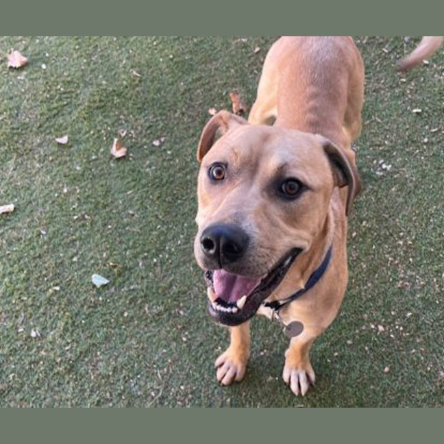 Photo of Mike Wheeler