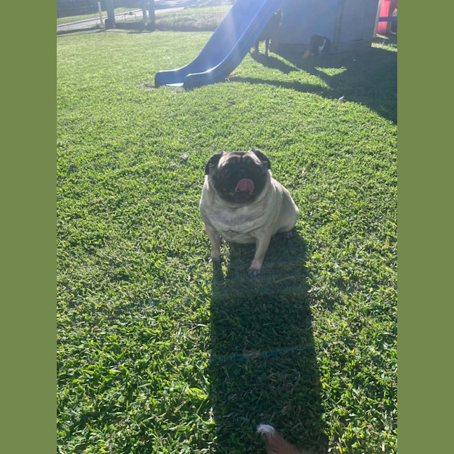 Photo of Lulu
