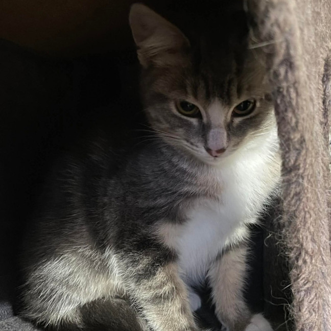 Photo of Matilda