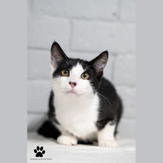 Photo of Max