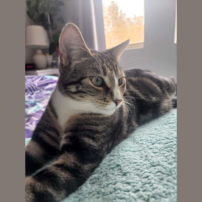 Photo of Indy