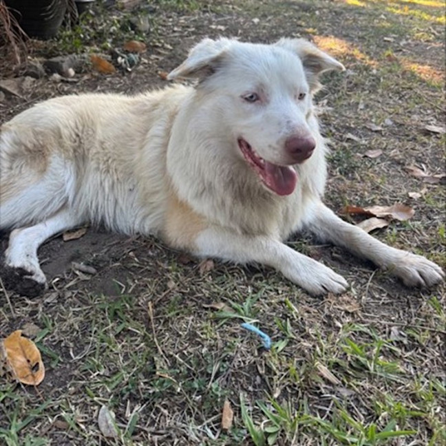 Photo of Aspen