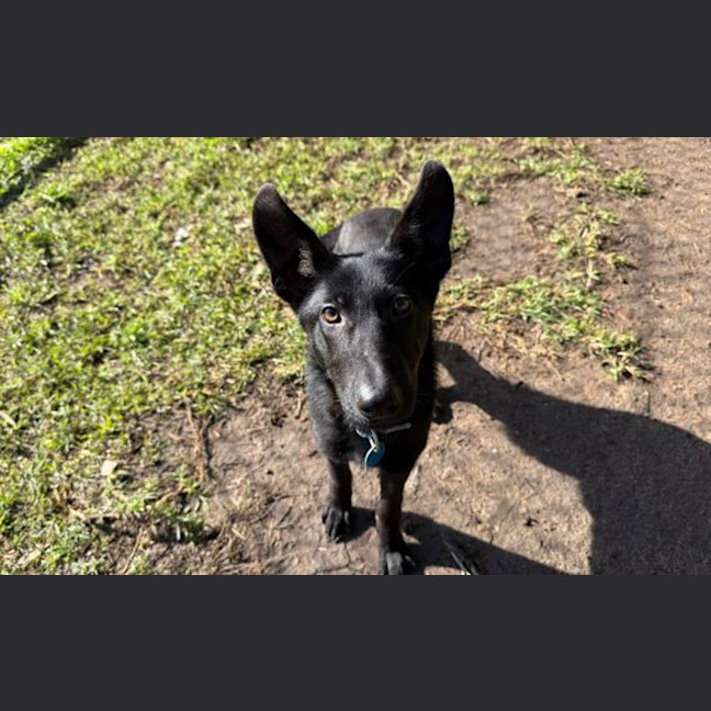 Photo of Lola
