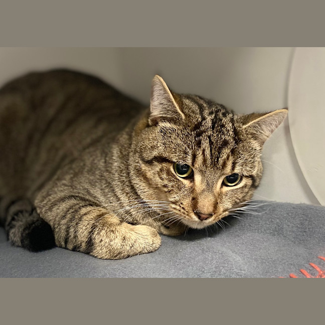 Photo of Dudley