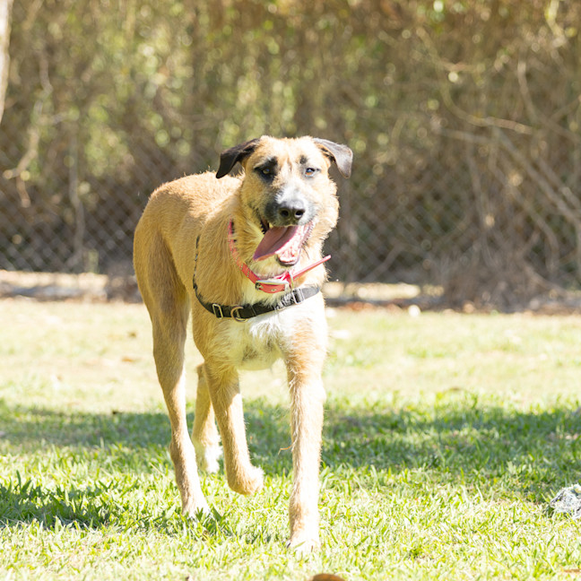 Photo of Hugo