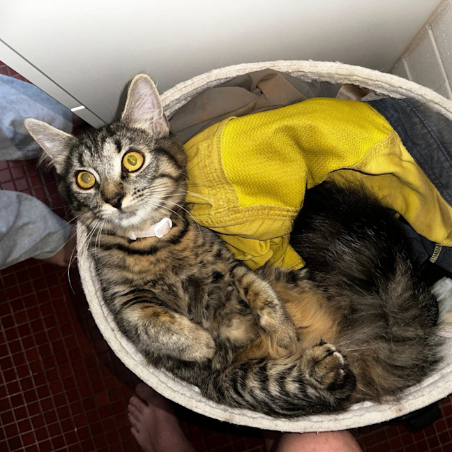 Photo of Octavia