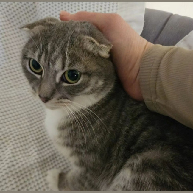 Photo of Dakota