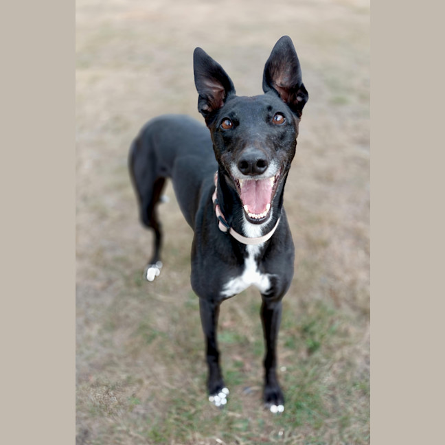 Photo of Miss Isabel