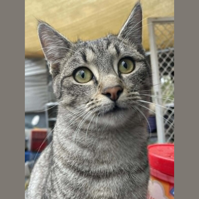 Photo of Clyde