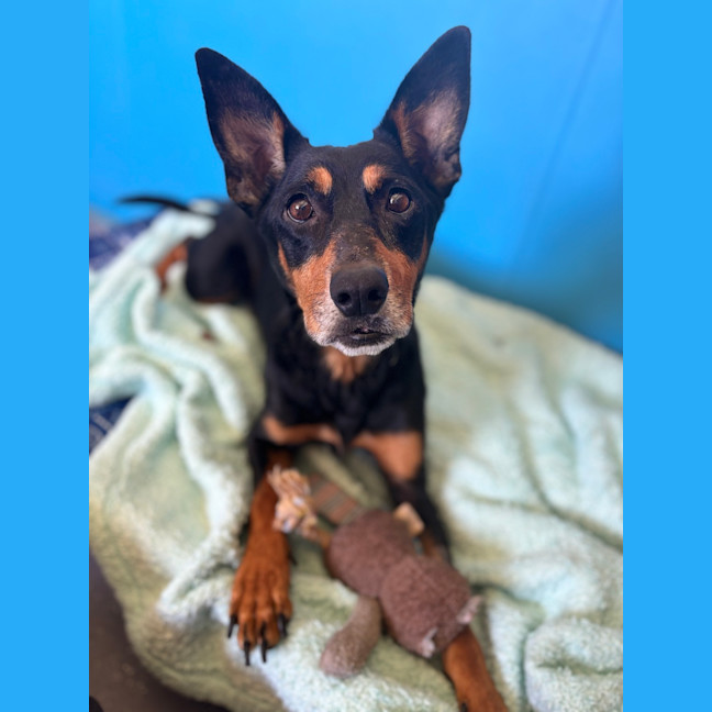Photo of Sookie