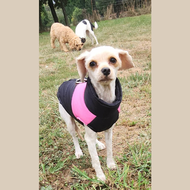 Photo of Hazel