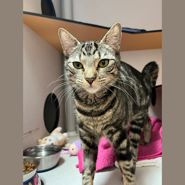 Photo of Coco