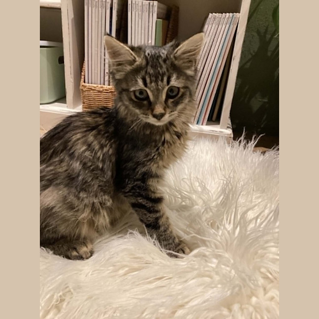 Photo of Elvie